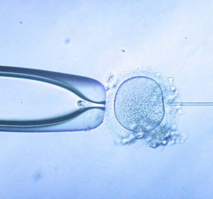 Is IVF More Affordable in Rajasthan Than Other States?